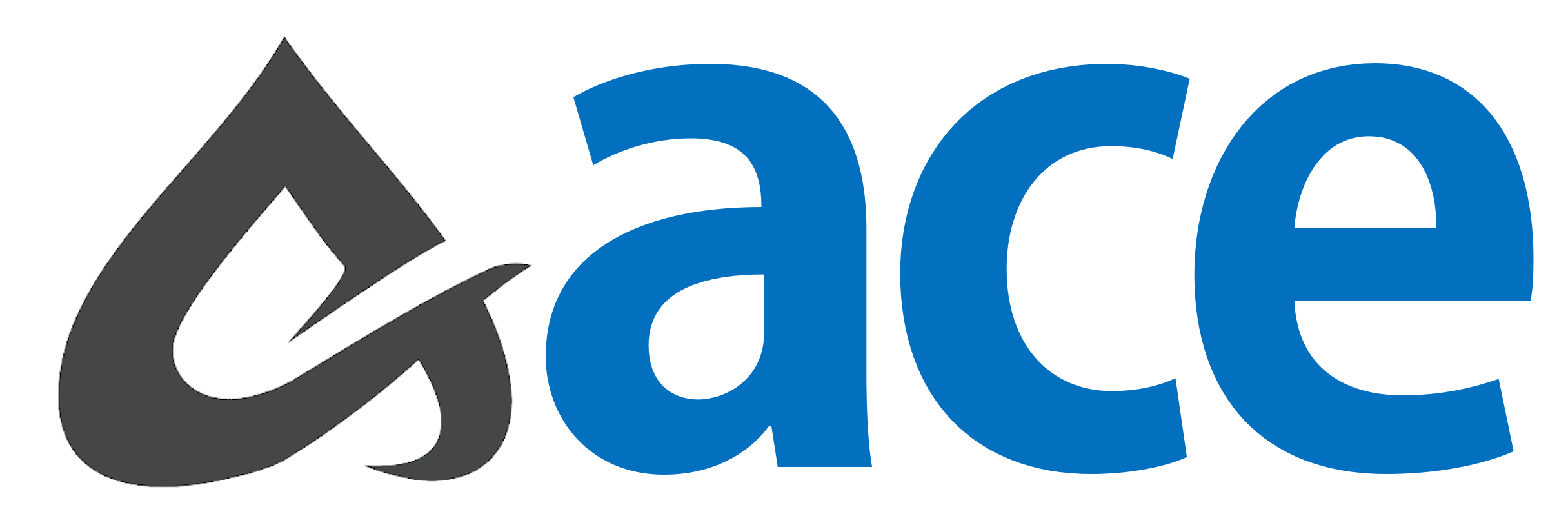 ACE Infotech